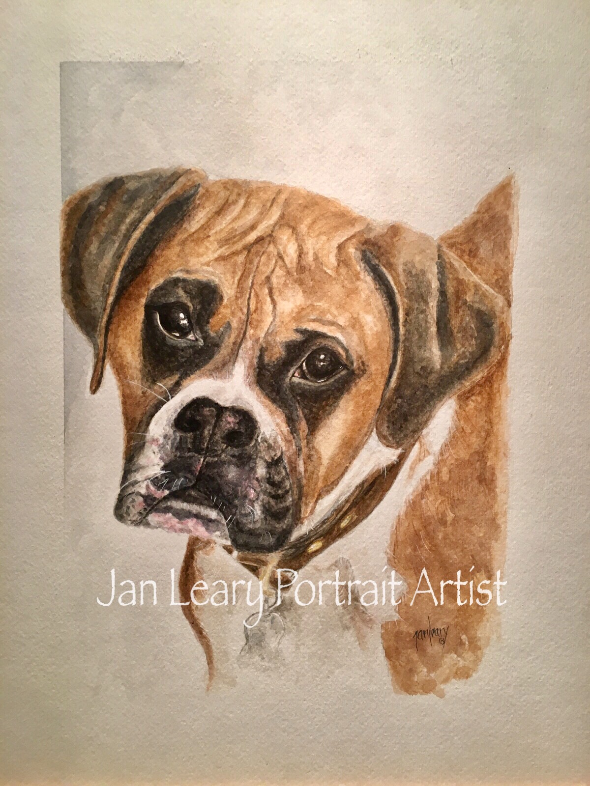 BF228E1B-CCB3-43F9-8C0E-2C5FC094F598